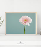 BOTANICAL SHIPPED PRINT #003