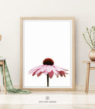 BOTANICAL SHIPPED PRINT #004