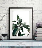BOTANICAL SHIPPED PRINT #006