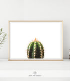 CACTUS SHIPPED PRINT #001