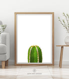 CACTUS SHIPPED PRINT #002