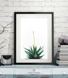 CACTUS SHIPPED PRINT #005