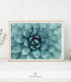 CACTUS SHIPPED PRINT #006