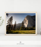 NATURE PRINT #001