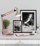 NATURE PRINT #002
