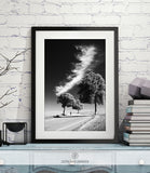 NATURE PRINT #002