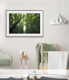 NATURE PRINT #004