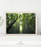 NATURE PRINT #004