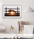 WILDLIFE & ANIMAL SHIPPED PRINT #002