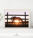 WILDLIFE & ANIMAL SHIPPED PRINT #002