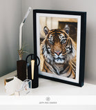 WILDLIFE & ANIMAL SHIPPED PRINT #003