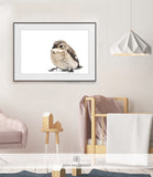 WILDLIFE & ANIMAL SHIPPED PRINT #004