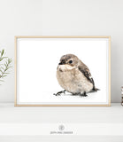 WILDLIFE & ANIMAL SHIPPED PRINT #004