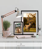WILDLIFE & ANIMAL SHIPPED PRINT #005