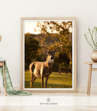 WILDLIFE & ANIMAL SHIPPED PRINT #005