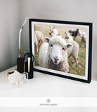 WILDLIFE & ANIMAL SHIPPED PRINT #006